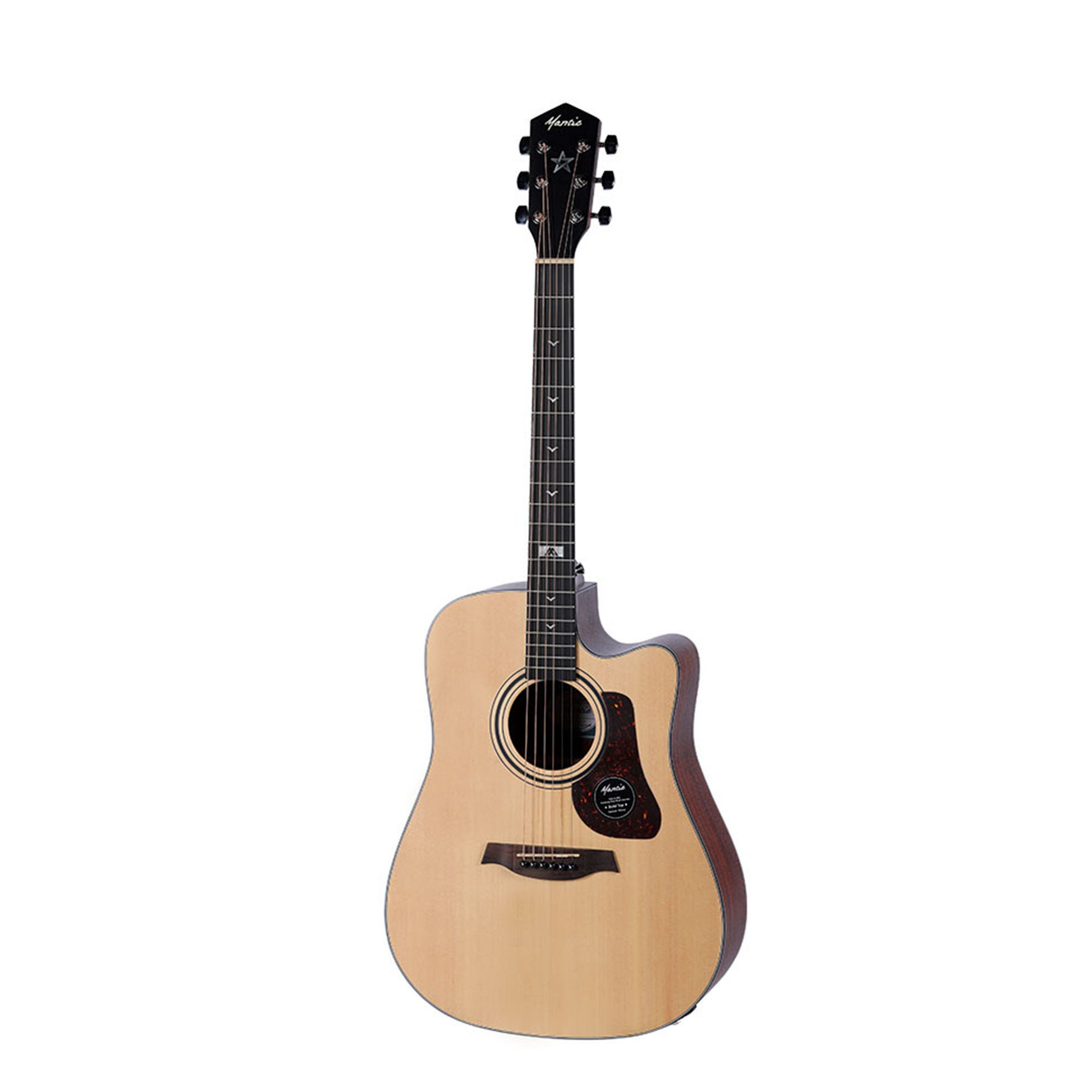 GT10 DCE
